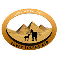 Premium For Wood Pellets and Shavings and Cat Litter